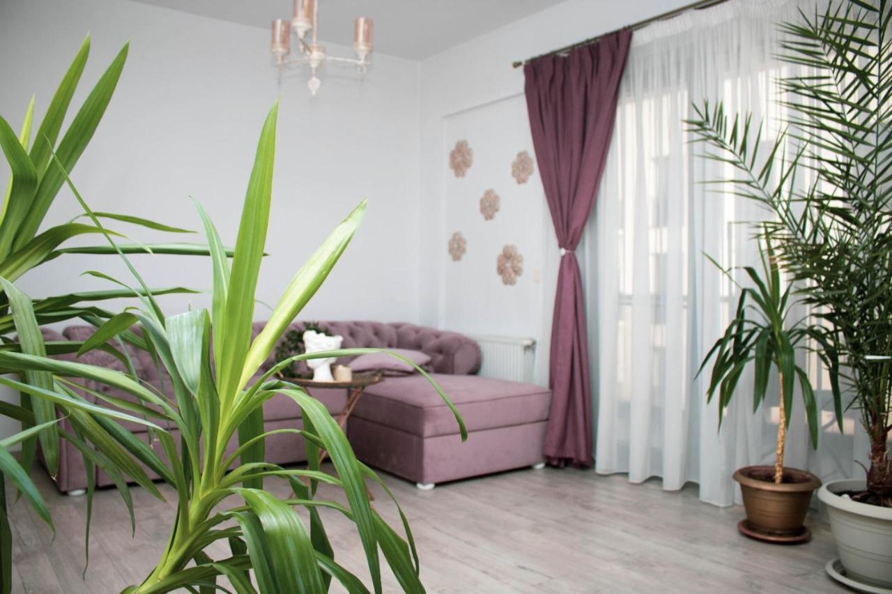Appartamento Cozy Special Queen Mary With Parking *